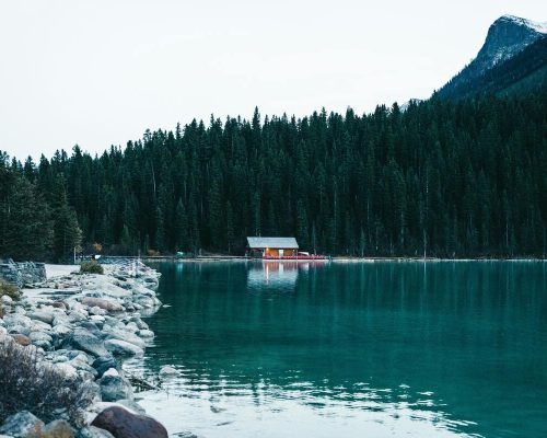 Lunaris Photography, Iris Dobre, sesiuni foto profesionale, Ședințe foto tip natuă, nature photography