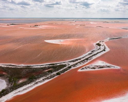 Lunaris Photography, Iris Dobre, sesiuni foto profesionale, Ședințe foto tip natuă, nature photography
