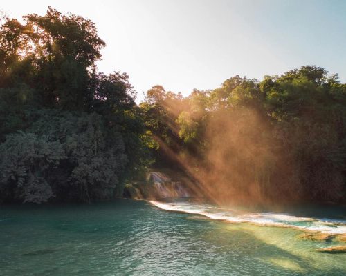 Lunaris Photography, Iris Dobre, sesiuni foto profesionale, Ședințe foto tip natuă, nature photography