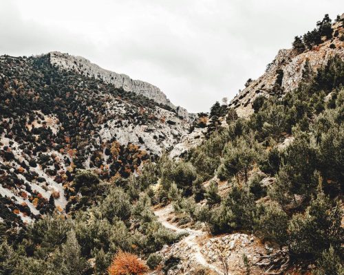 Lunaris Photography, Iris Dobre, sesiuni foto profesionale, Ședințe foto tip natuă, nature photography